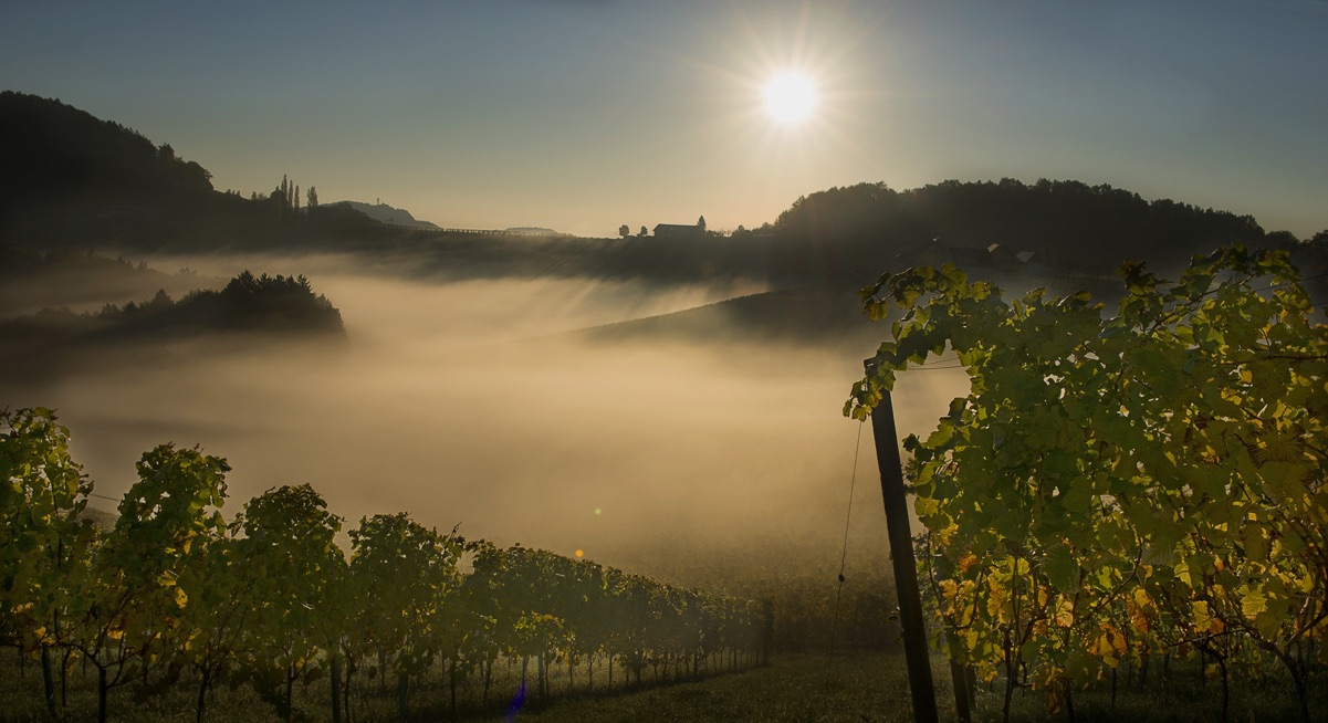 Ursprung in der Steiermark